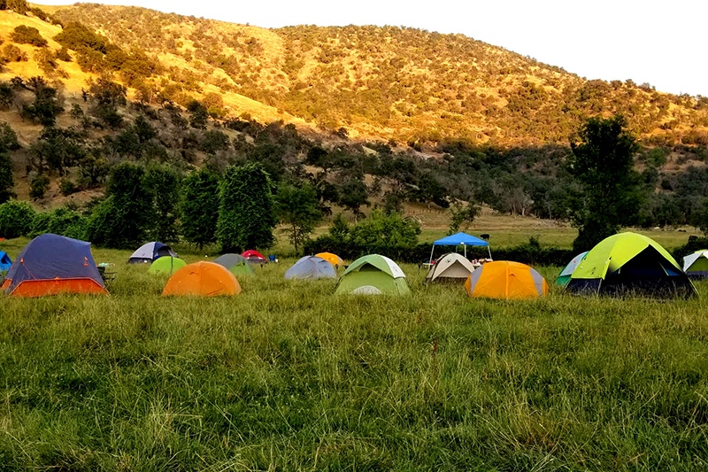 Starry Night Camp Site