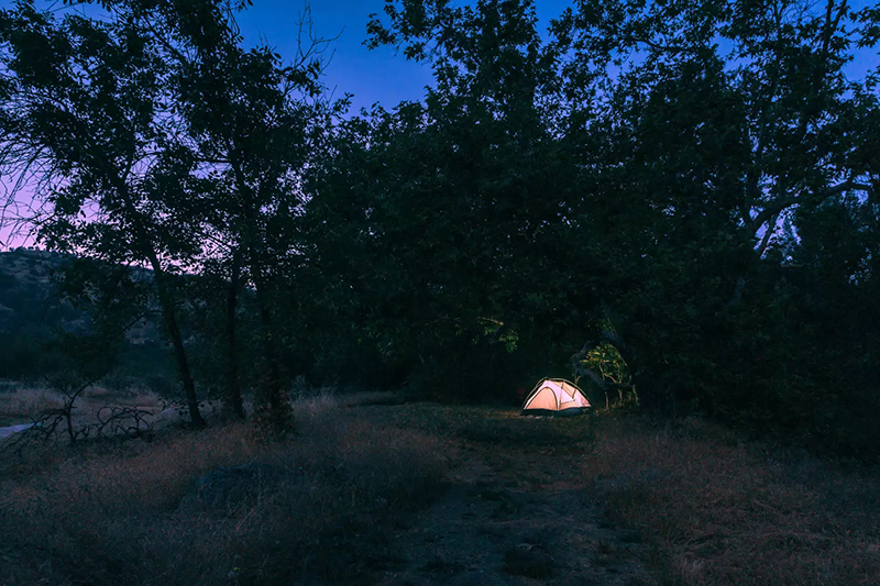 Sycamore Arch Tent Site