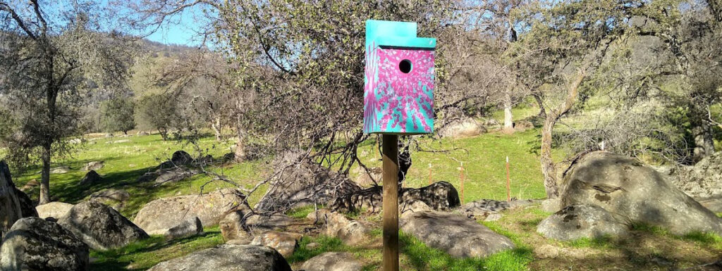 Turquoise pink bird house